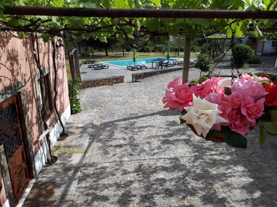 Quintinha De Santiago Villa Oliveira de Azemeis Exterior foto